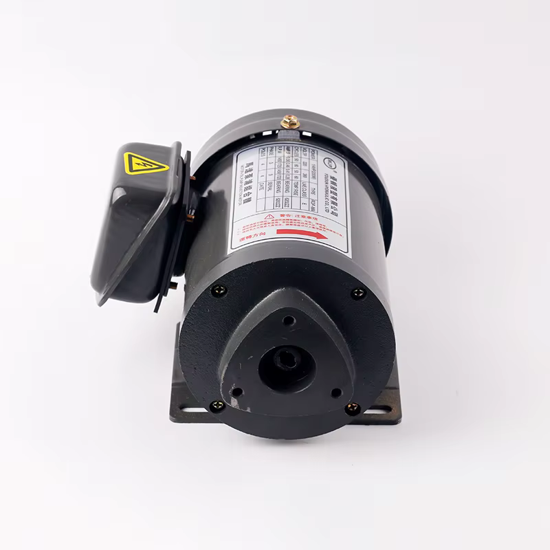Pompe à huile de lubrification, moteur triangulaire, pompe à engrenages 220V 380V