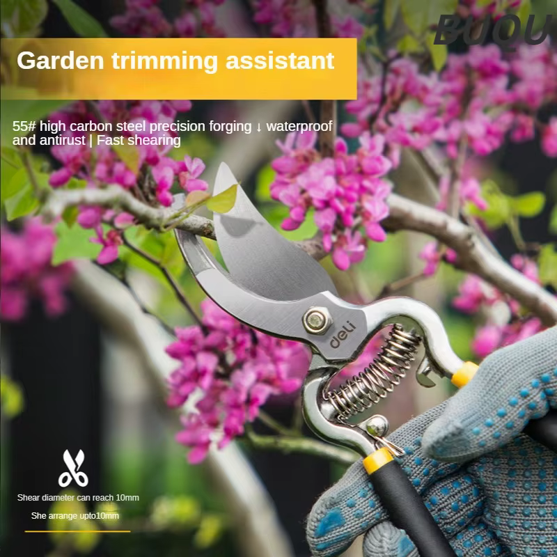 DELI 8 pouces sécateur de jardin ciseaux SK5 lame sécateur pour bonsaï arbres fruitiers fleurs Branc