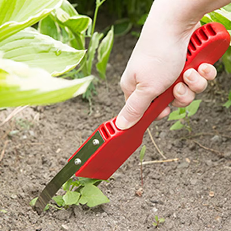 Outil de désherbage de jardinage, outil de désherbage à boucle manuelle en fer Portable pour désherb
