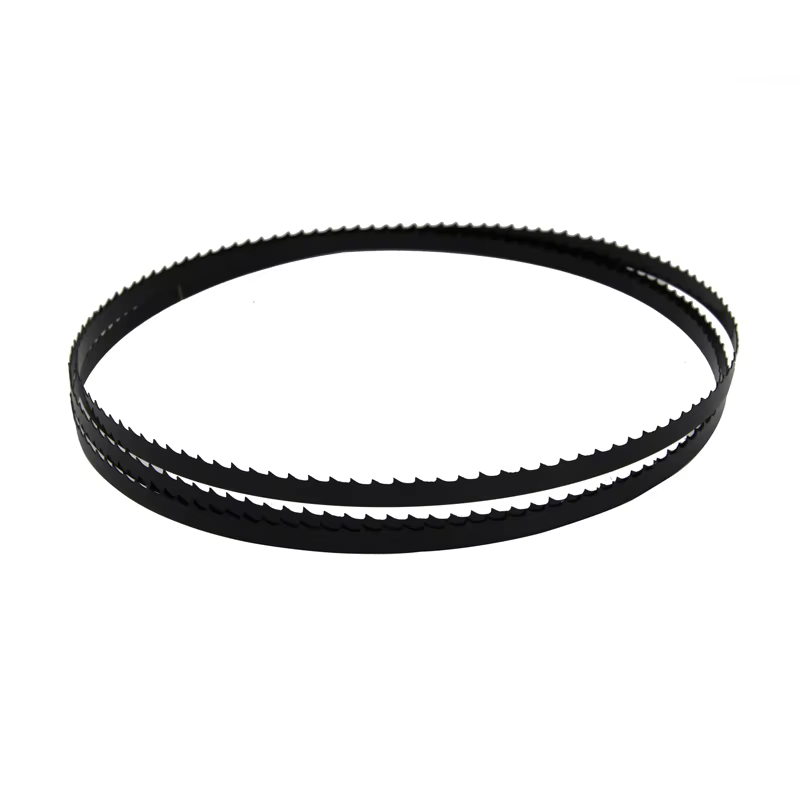 Lame de scie à ruban TASP 1511 mm 59-1/2"x1/4"x0.35 mm 6 TPI