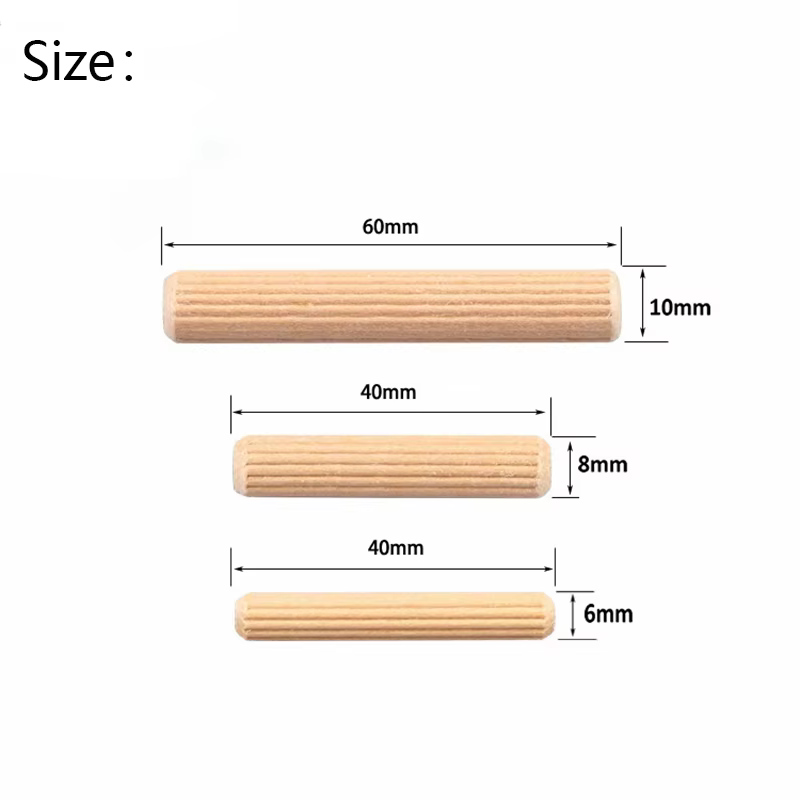 10 pièces 6mm8mm10mm mortaise en bois et Tenon Eucalyptus
