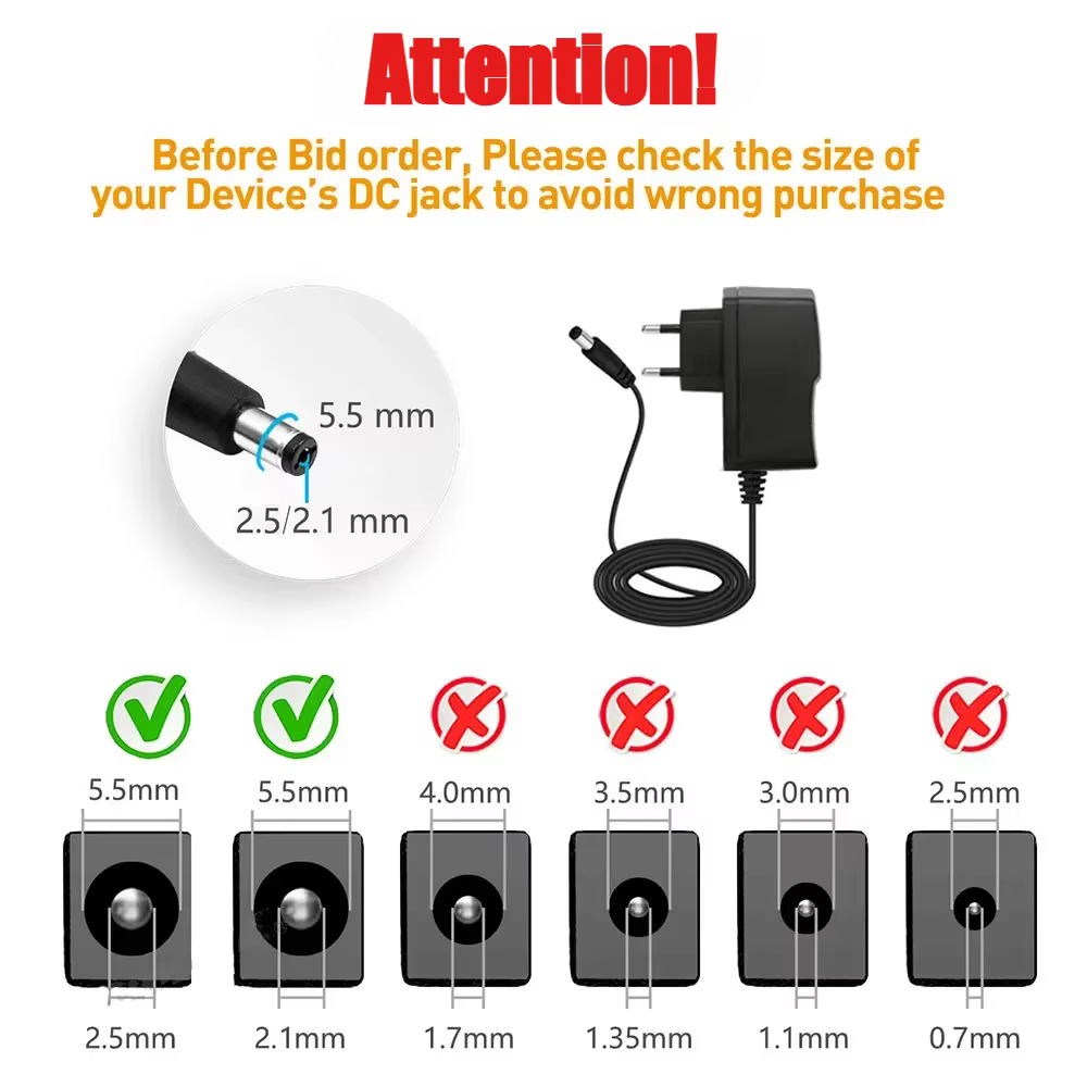 Chargeur de batterie au Lithium 12V