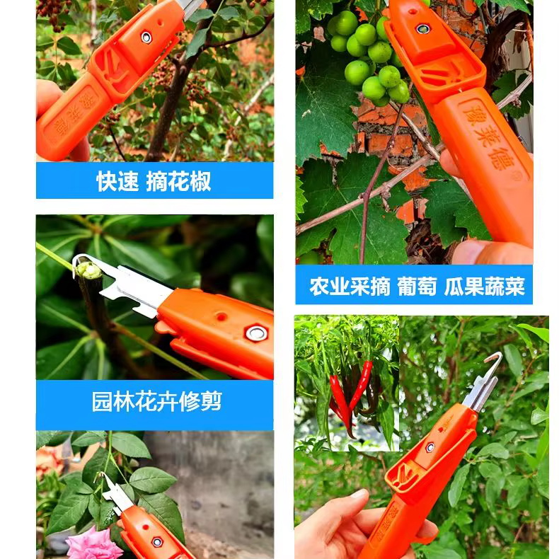 Outil de cueillette multifonctionnel pour la récolte agricole et la taille des jardins