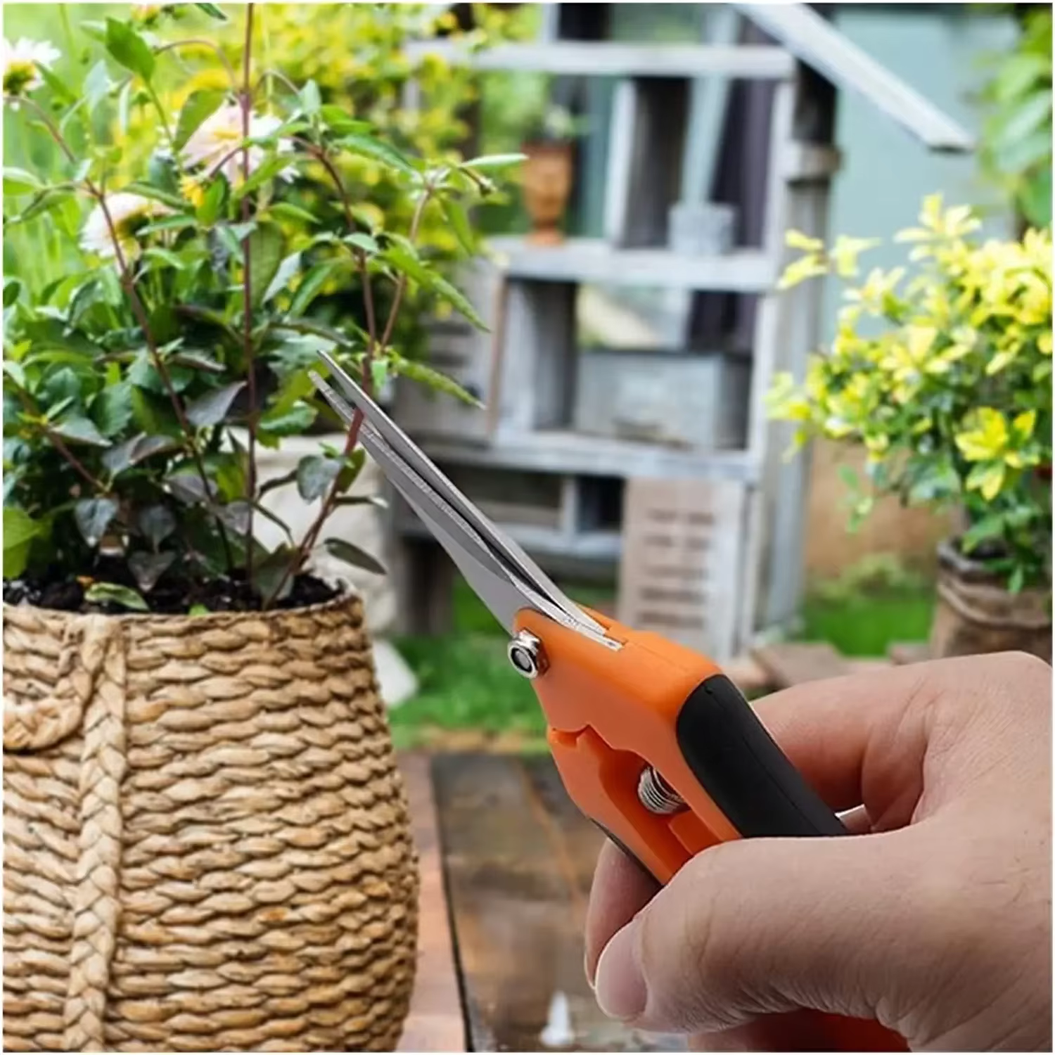 Outils de jardin sécateurs bonsaï ciseaux de jardinage en métal outil d'élagage coupe-main cueillette de fruits mauvaises herbes ménage en pot