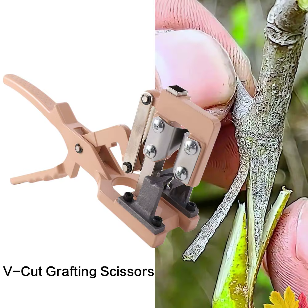 Ciseaux de greffage professionnels à coupe en V, efficaces pour les branches épaisses, ciseaux de greffage à économie d'effort, cisailles à plantes en acier inoxydable