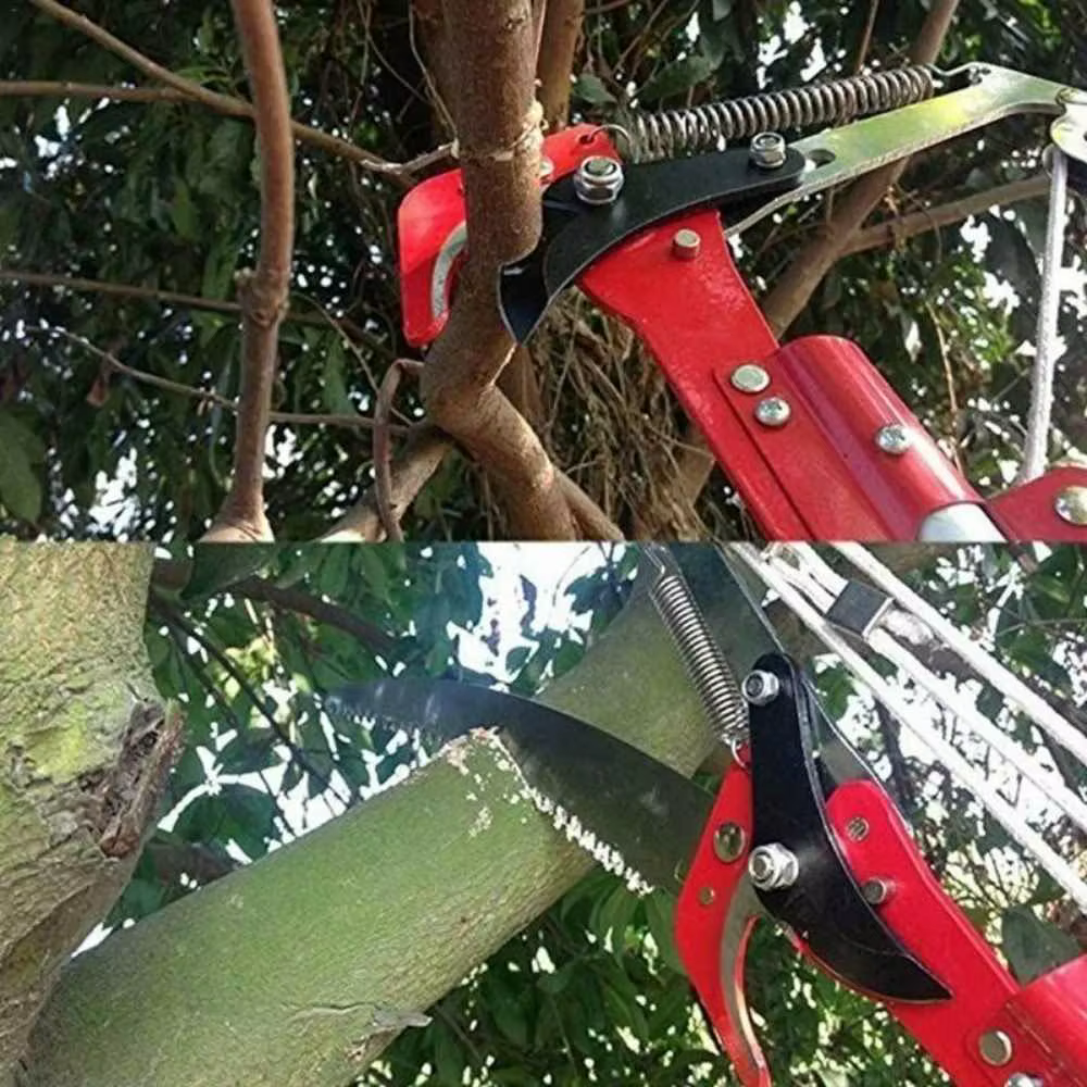 Ciseaux extensibles de branche d'éplucheur d'extension de haute altitude