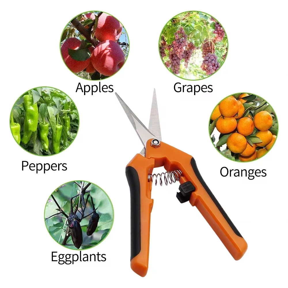 Outils de jardin sécateurs bonsaï ciseaux de jardinage en métal outil d'élagage coupe-main cueillette de fruits mauvaises herbes ménage en pot