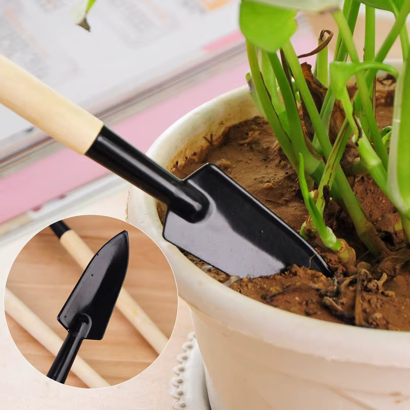 Ensemble de trois outils de jardinage, mini-outils de jardin, pelle multifonction, herse, pelle pour plantes domestiques, pelle à terre pour pinier