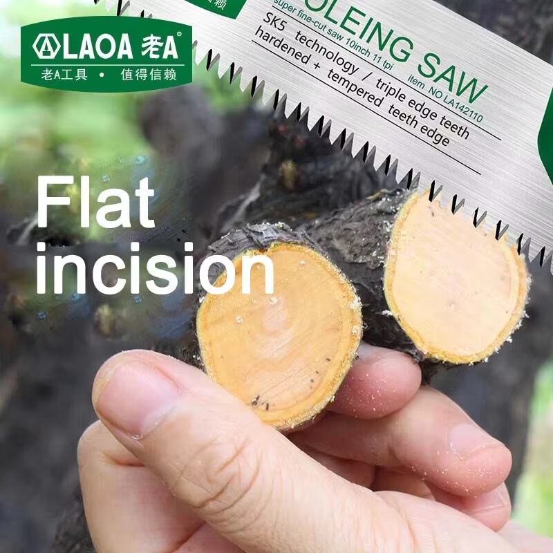 LAOA SK5 scie à main