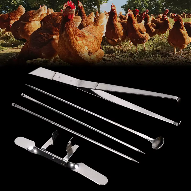 1 ensemble d'outils de casttration de poulet en acier inoxydable, grand poulet professionnel pour bébé poussin, couteaux de casttration rapide, outils de ferme de volaille