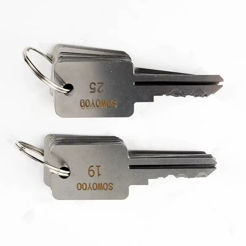 SOWOYOO Kit de clés universelles 48-en-1, outil de crochetage de serrures, fournitures de serrurier durables pour l'ouverture de portes et de serrures courantes