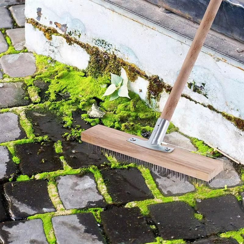 Brosse à récurer en acier