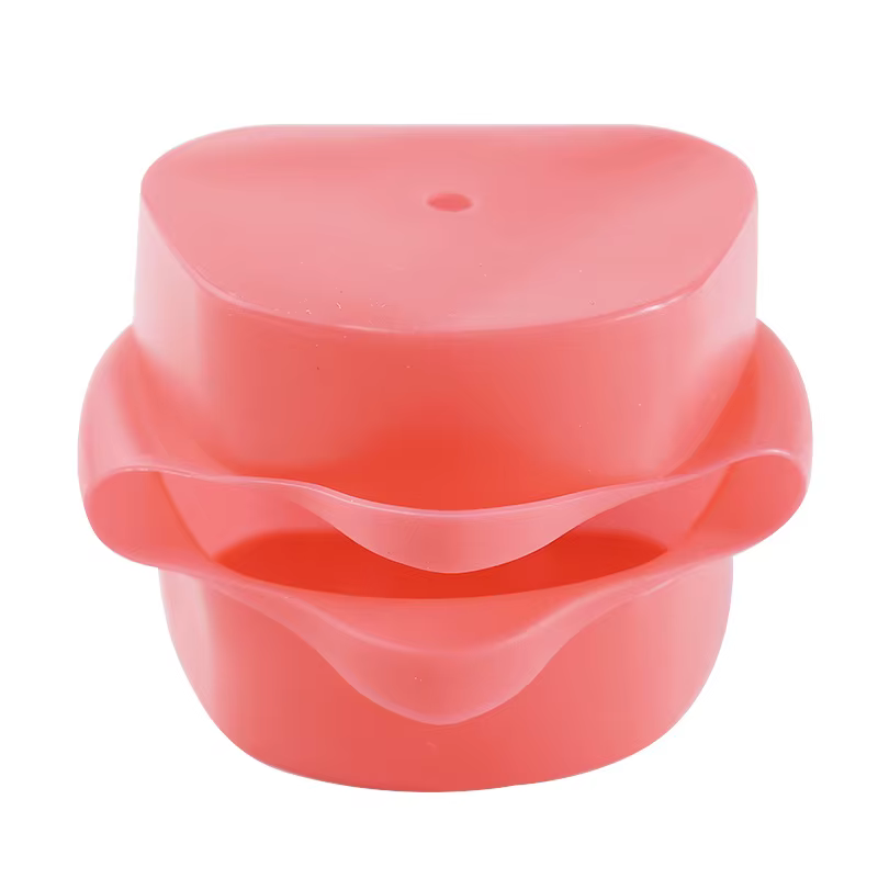 Instruments buccaux de modèle de fuchsia dentaire, outils, matériaux, consommables dentaires, tête rouge, masque de peau adapté au fuchsia dentaire